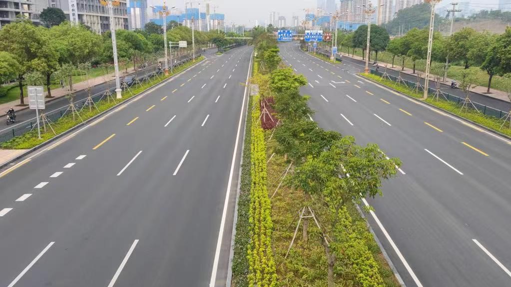 軌道交通4號線(xiàn)沿線(xiàn)道路維修整治工程-景觀(guān)綠化工程監理